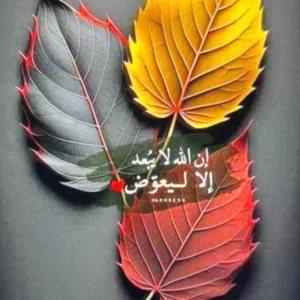 المهلهل 