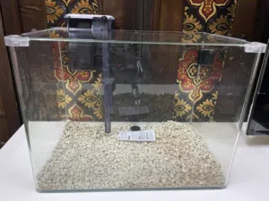 Aquarium for sale