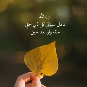 محمد 