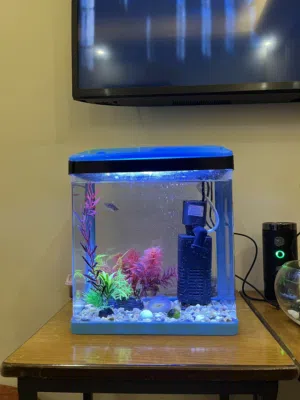 حوض سمك جديد بحاله ممتازه جداا استخدم لمده اسبوعين 30 وقابل للتفاوض لايوجد اي خدوش مع كل ادواته