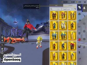 Pubg Accounts and Characters for Sale in Basra