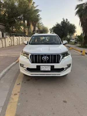 برادو 2022 txl