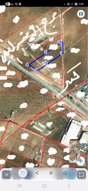 Farm Land for Sale in Irbid An-Nuayyimah