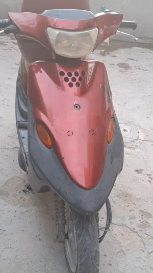 السعر 200 بيه مجال بصره /