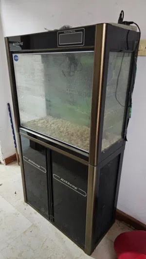 حوض سمك ، قفص عصافير