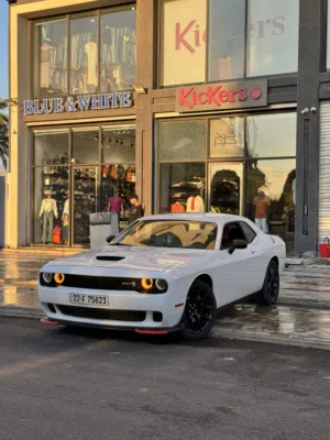 دوج جالنجر 2020 V6 للبيع