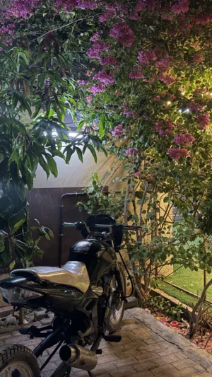 هوندا 150 سيسي للبيع شوف الوصف