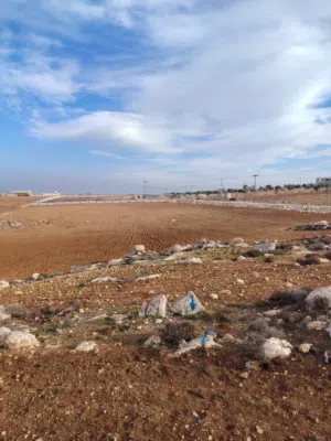 Farm Land for Sale in Jerash Marsa'
