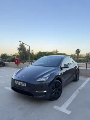 2025 تسلا مودل y دبل ماطور لونك رينج