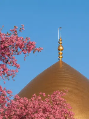 محمد 