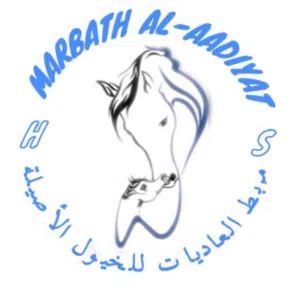 ابو المنذر 