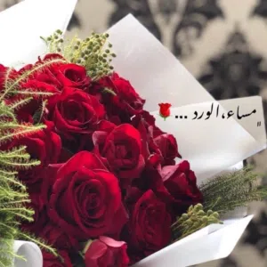 السليميه 
