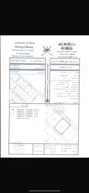 المضيبي الشبيكه