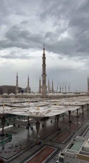 سالم الورفلي 