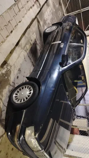 تيوته كراون بطه