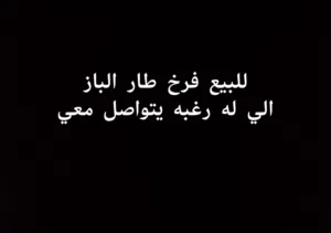 اقرأ الوصف