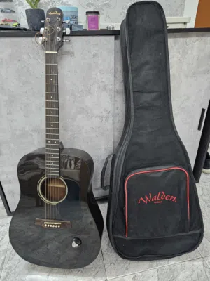 Walden D351SB Acoustic Guitar with Original Gig Bag - Sunburst