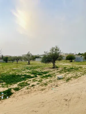 Mixed Use . 912 m2 . Landlord0