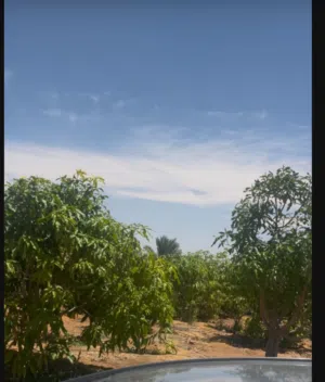 ارض زراعيه