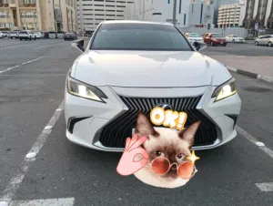 Lexus ES300 2020 hybrid