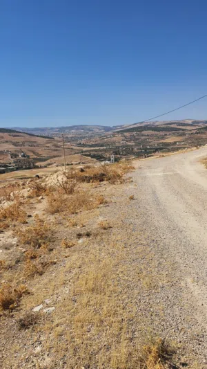 Mixed Use Land for Sale in Jerash Unaybah