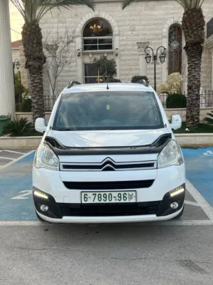 ‏ستيروين ‏.‏ بيرلينجو ‏.‏ 2017 ‏.‏ جديد‏2