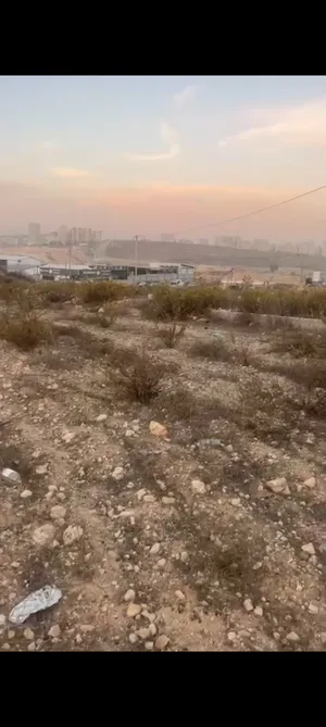 Residential Land for Sale in Ramallah and Al-Bireh Jifna