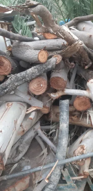 حطب مواقد جاهز ناشف للبيع بالكيلو وبالطن يوجد خدمة توصيل