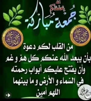 أربعة هكتار للبيع علي البحر مباشرة في دريانه