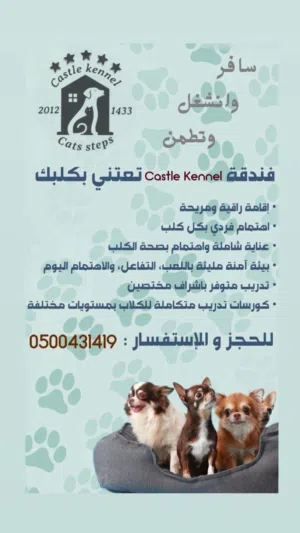 فندقة وتدريب كلاب جدة