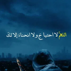 أبو بندر