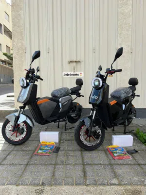 MOTO ÉLECTRIQUE PERFORMANCE 2000W U3 Emove
