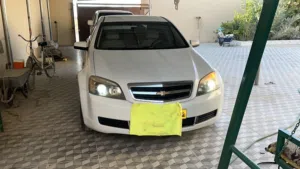 كابرس 2013