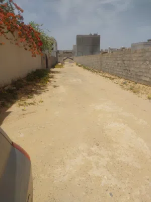 عبدالمجيد فرارة