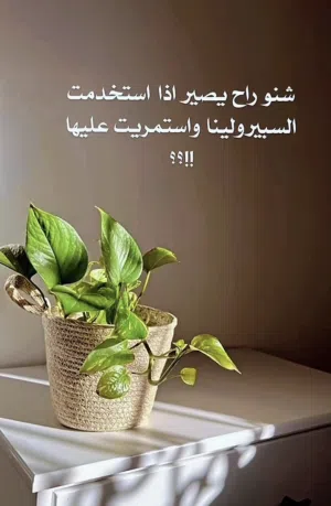 مكمل غذايي الاسبيرولينا