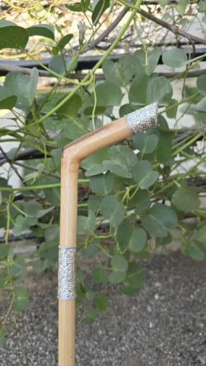 عصا عتم عماني