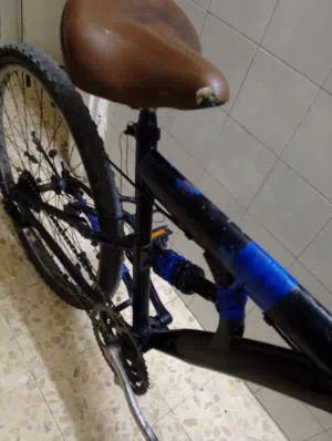 بسكويت جنط 23