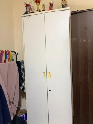 Two Door Cabinet with Five Rows