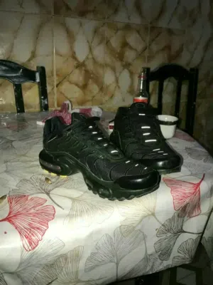 cobra original N40 M 2025