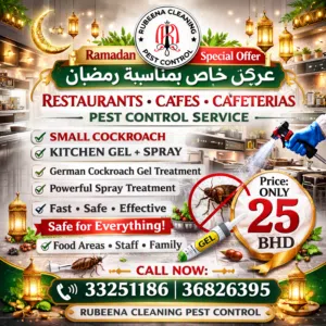 Professional Pest Control Services Keep your home, office, or restaurant pest-free