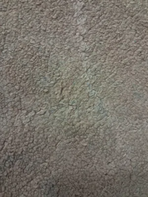 استديو للإيجار بخيطان عائلات