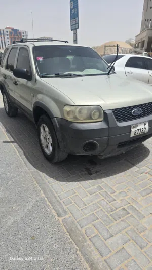 فورد اسكيب