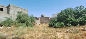 قطعة أرض 500 متر مربع بسور كامل وبوابة خلة الفرجان طريق البل بجوار مسجد الفاروق