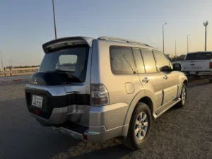 باجيرو 2019 صبغ وكالة