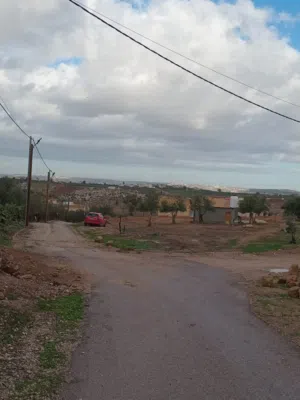 Farm Land for Sale in Irbid Sum