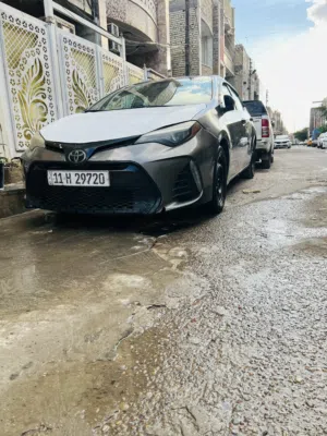 تيوتا كورلا 2019