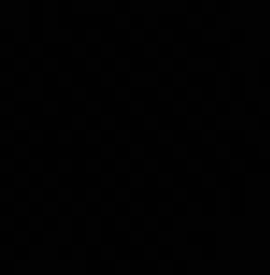 member-166360352051 