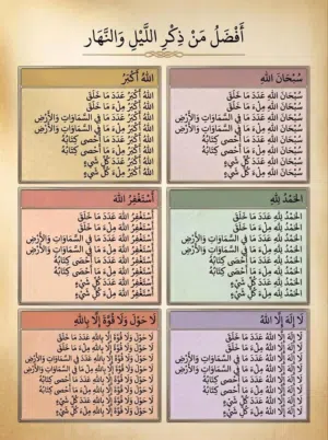 مشاركة سكن