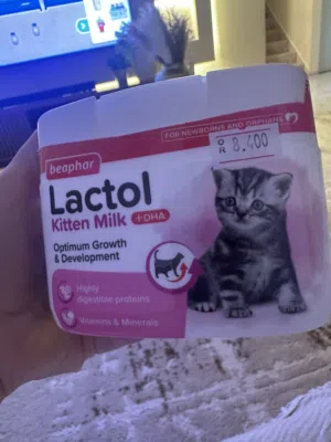حليب قطة للبيع
