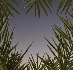 حر 